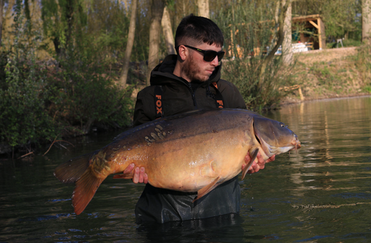 Top Catch #4 - Haydn