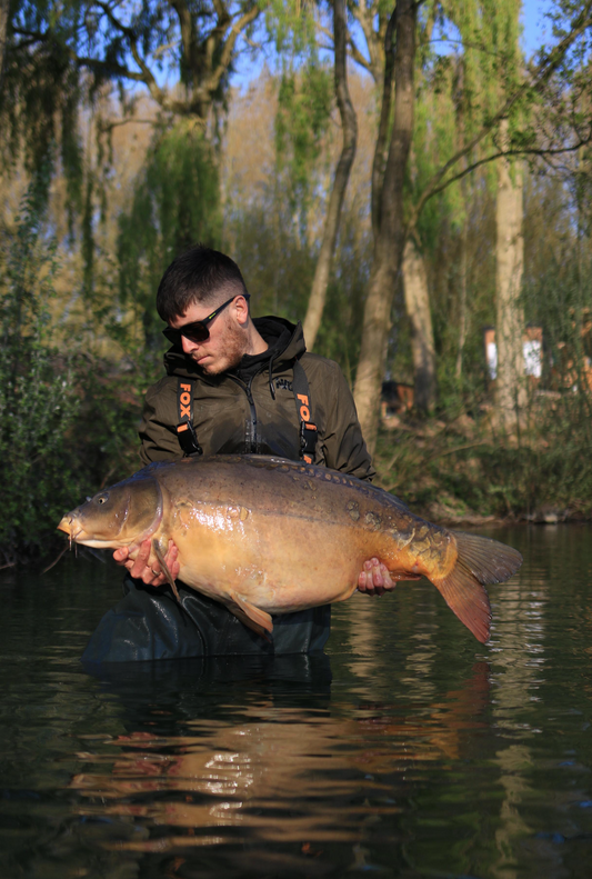 Top Catch #7 - Haydn